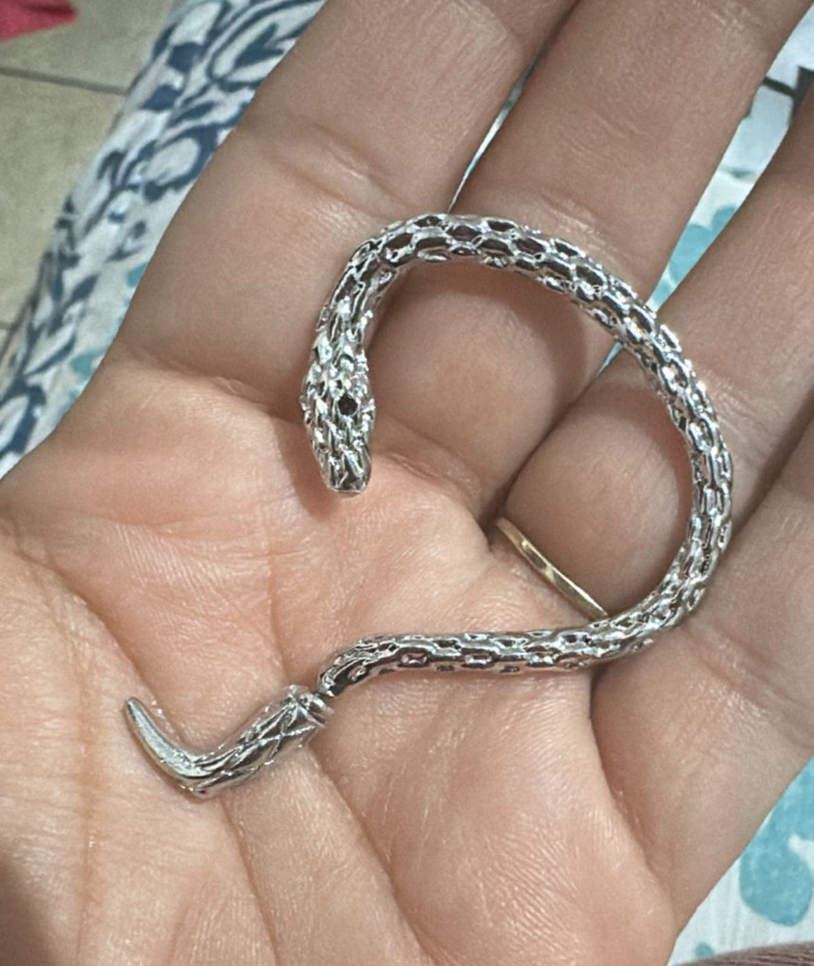 Arete serpiente plateado