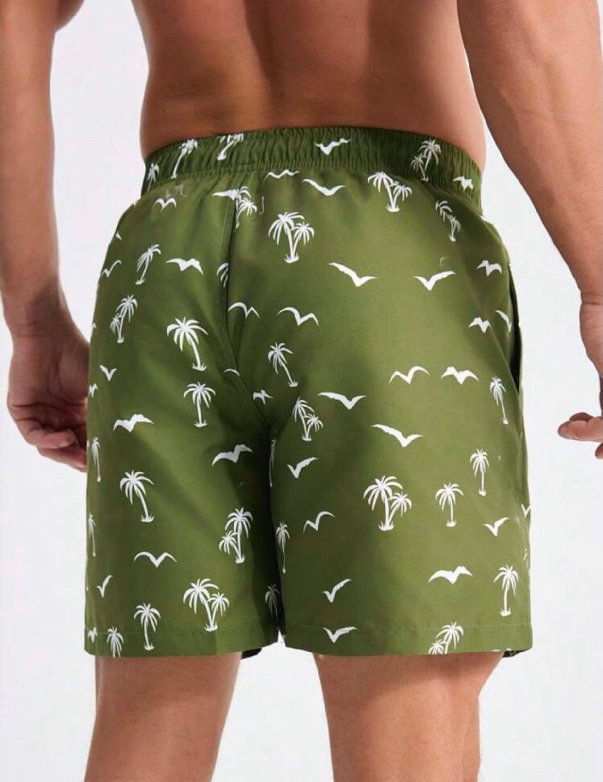 Short Palm Tree