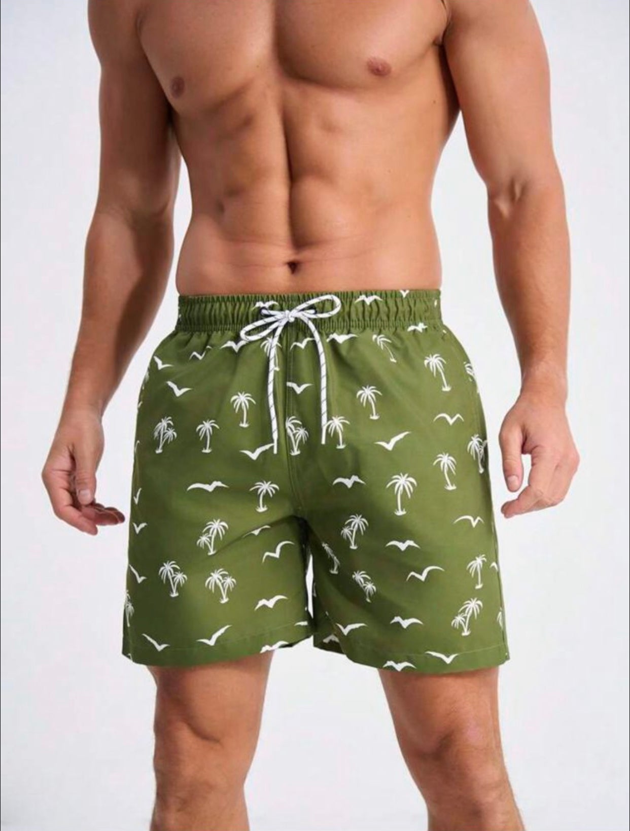 Short Palm Tree