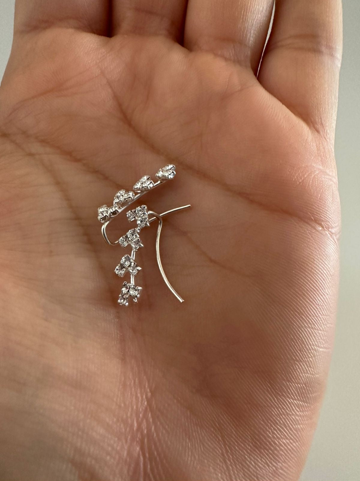 Aretes de Plata Corazones